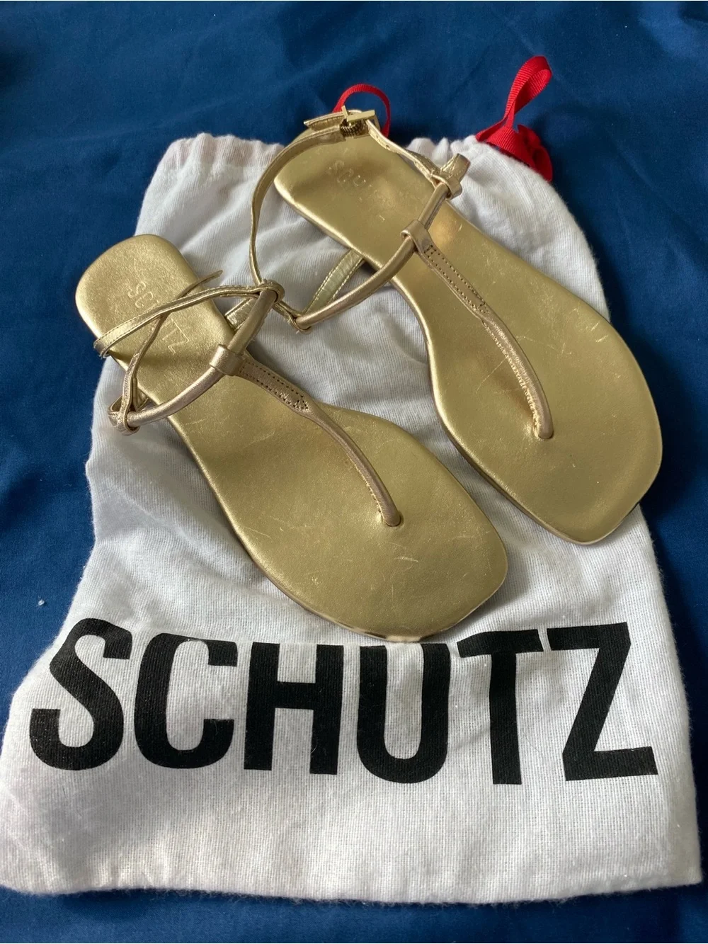 NWT SCHUTZ Gold Strappy Thong Sandals 6B